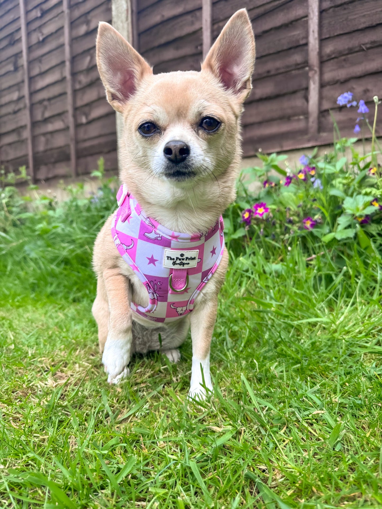 Cowgirl Cutie Adjustable Harness