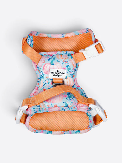 Pablo’s Pumpkins Adventure Paws Harness