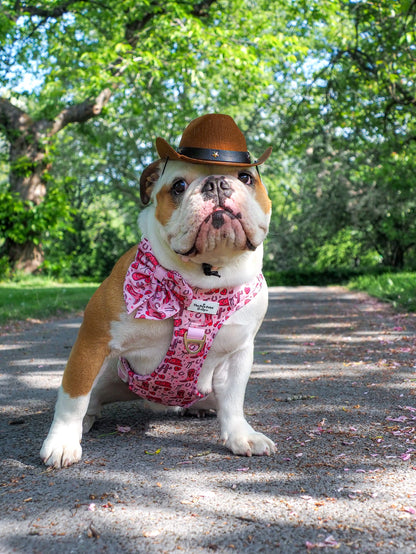 The Giddy up Pup Adventure Paws Harness