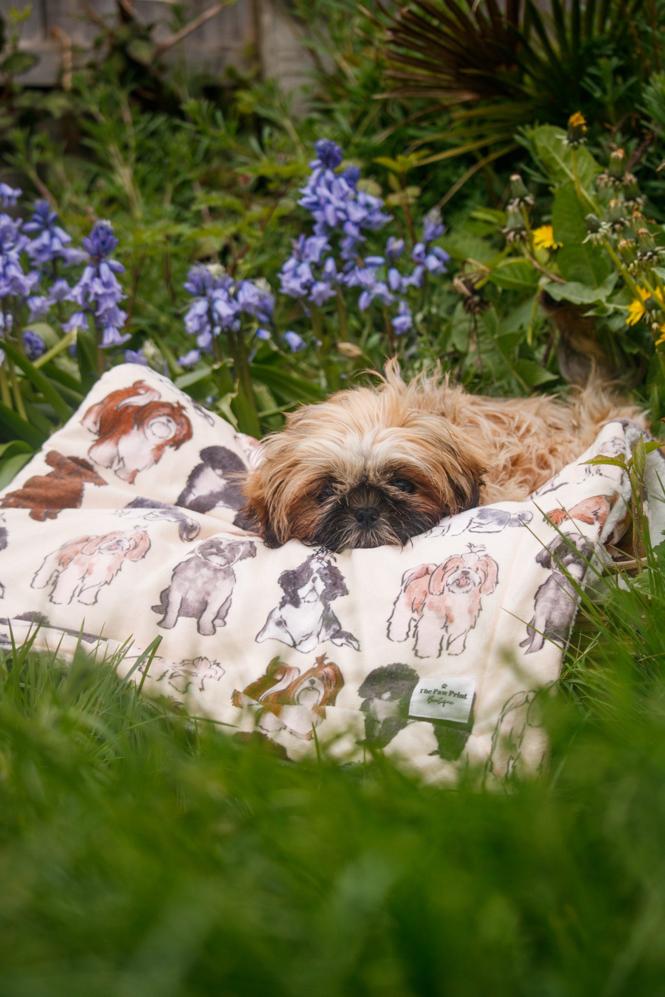 Shih Tzu Dog Blanket