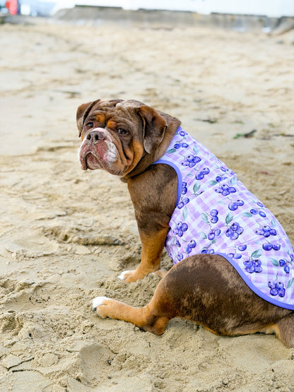 Blueberry Gingham Cooling Vest