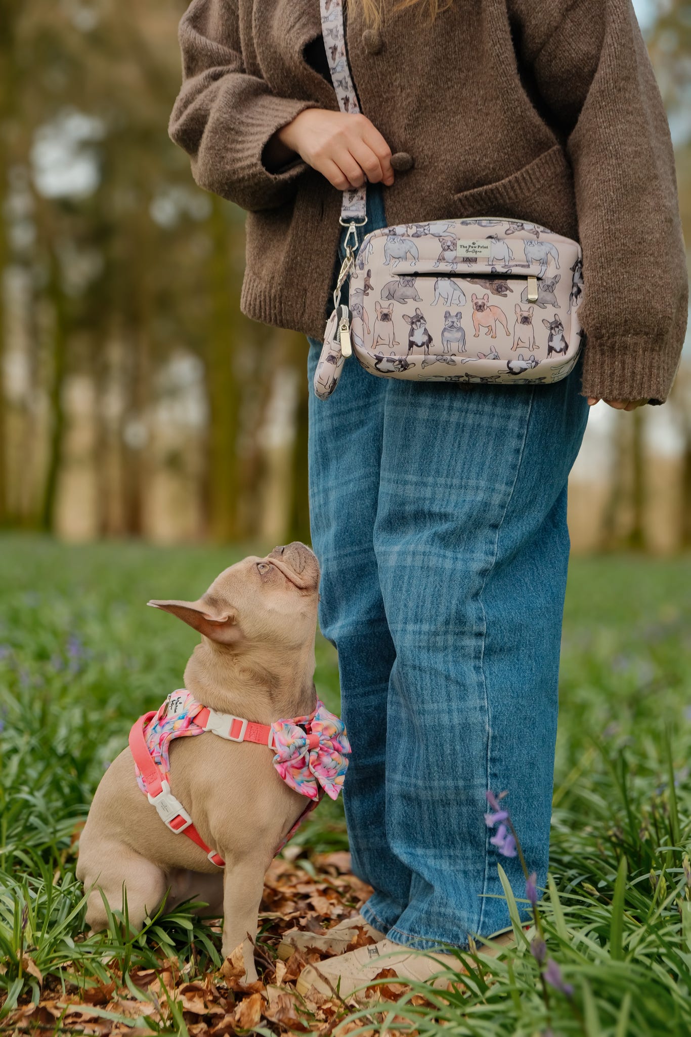 The French Bulldog Dog Walking Bag