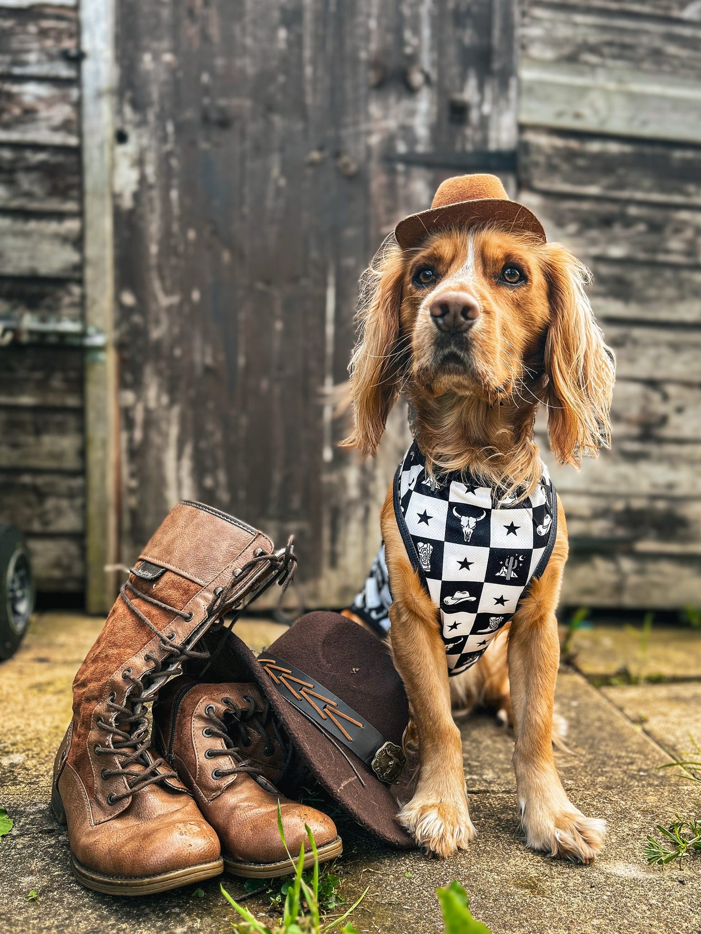Wild West Cooling Vest