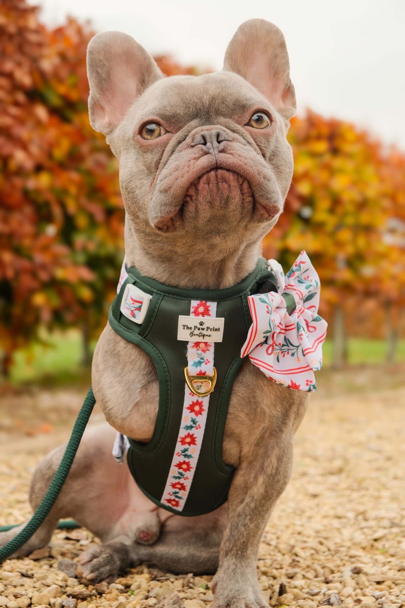 Festive Traditions Bow Tie