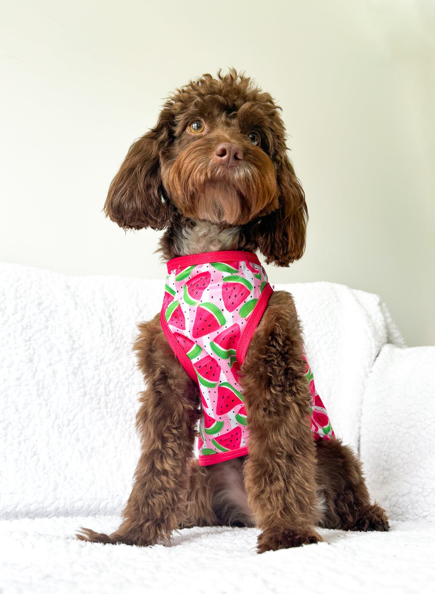 Watermelon Sugar Cooling Vest