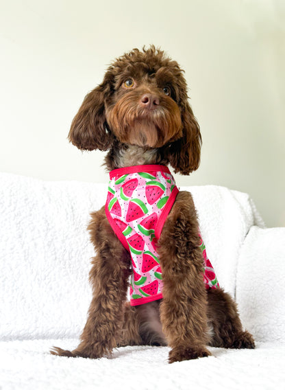 Watermelon Sugar Cooling Vest