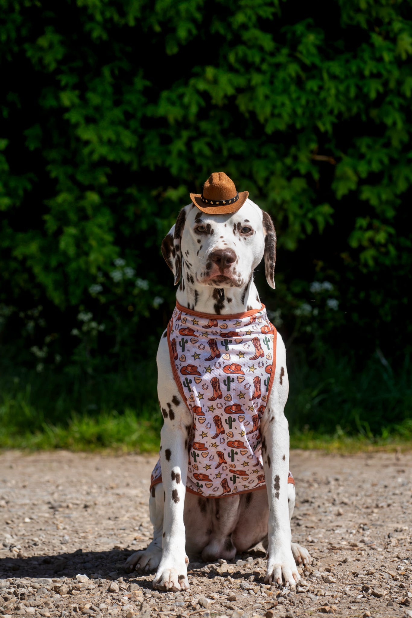 The Howdy Pawtner Cooling Vest