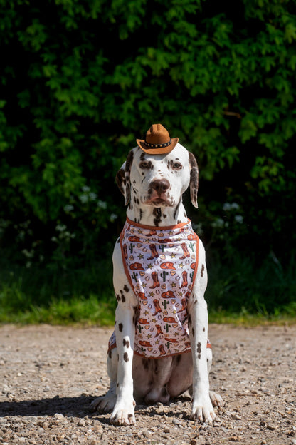 The Howdy Pawtner Cooling Vest