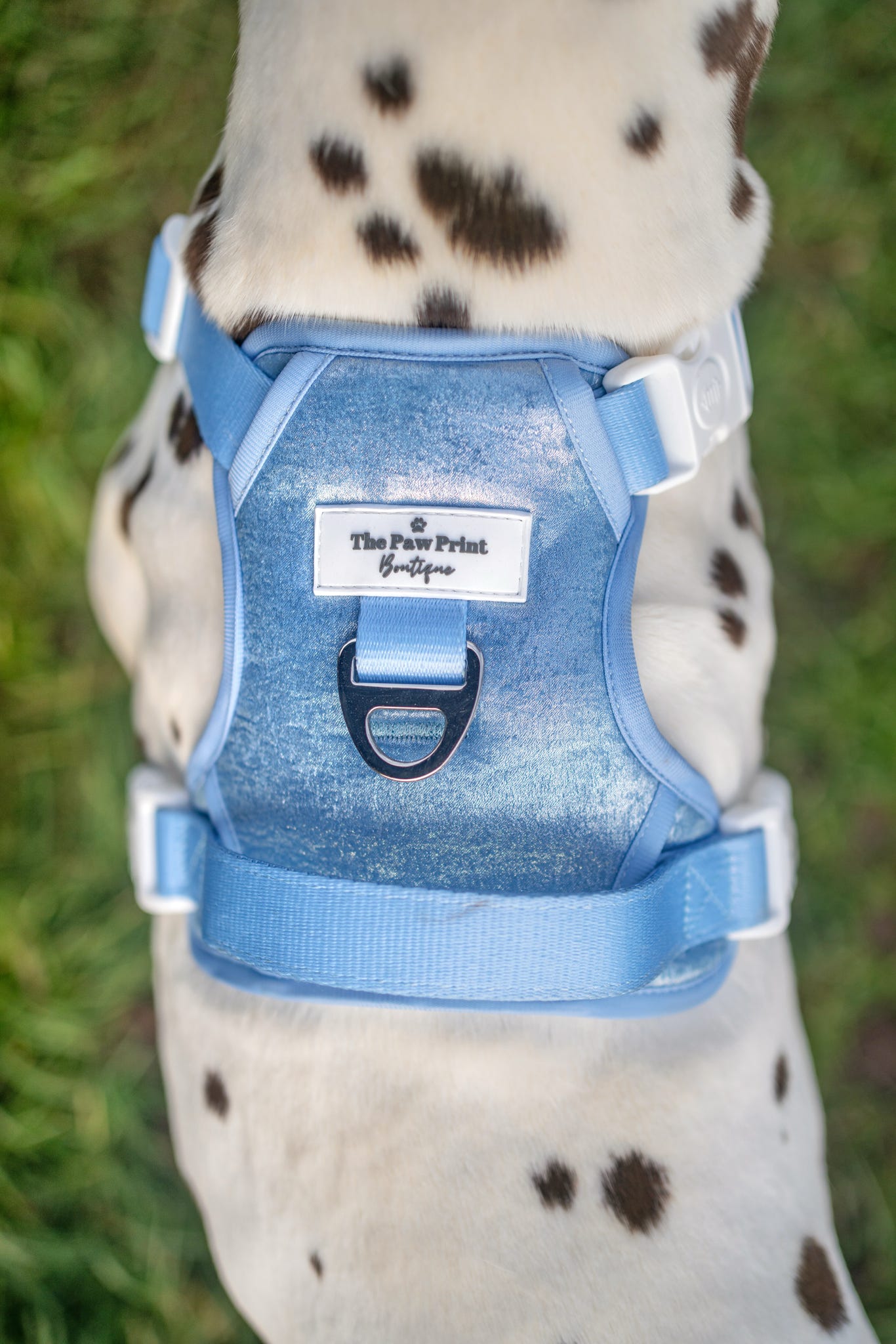 The Ocean Blue Adventure Paws Harness