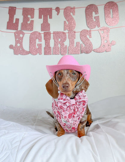 The Giddy up Pup Adjustable Harness