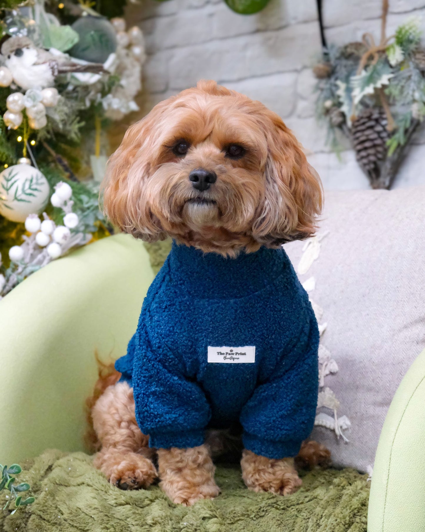 Teddy Fleece - Teal