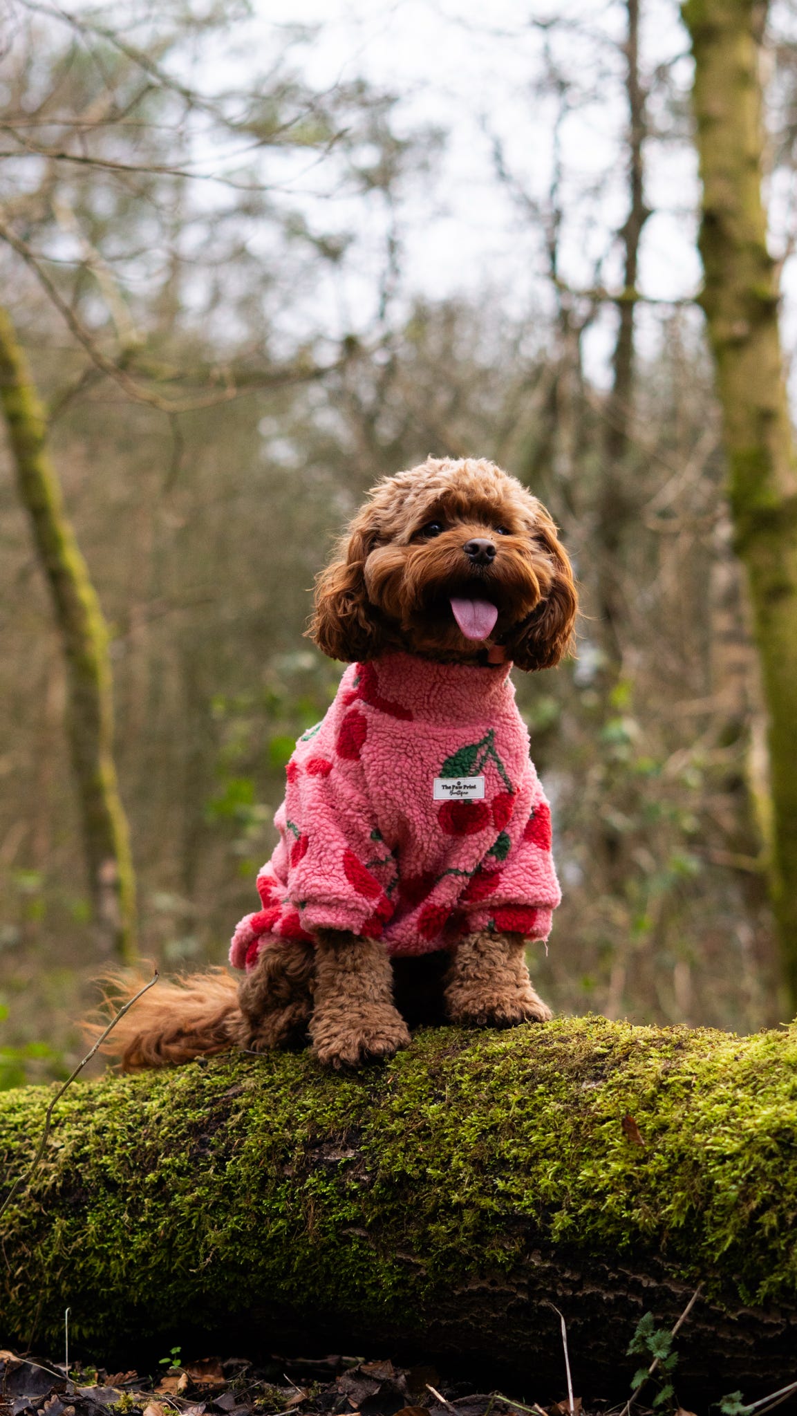 The Cherry Fleece
