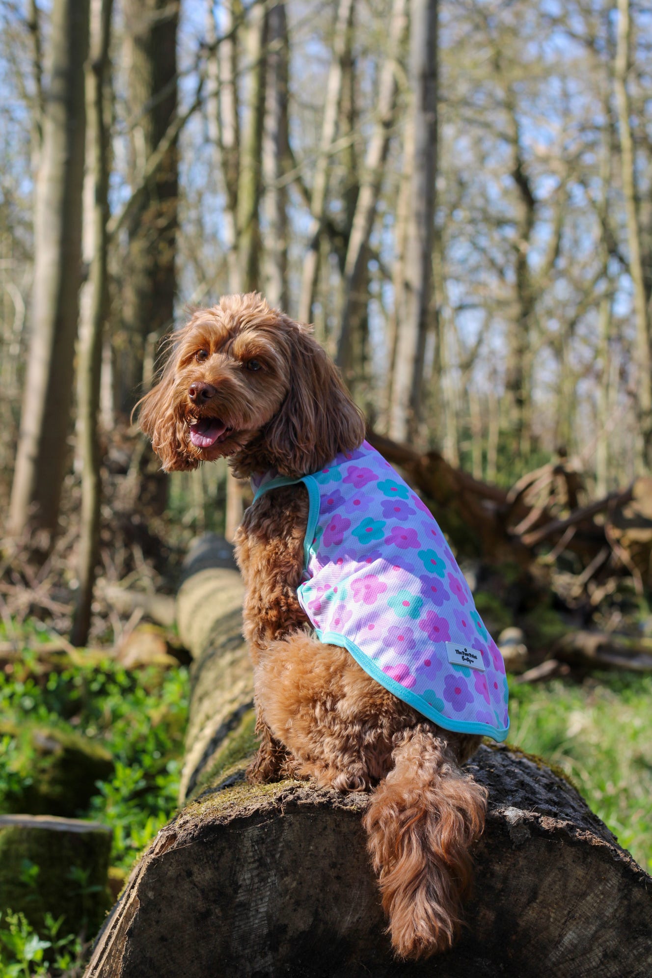 Minty Meadows / Flower Power Cooling Vest