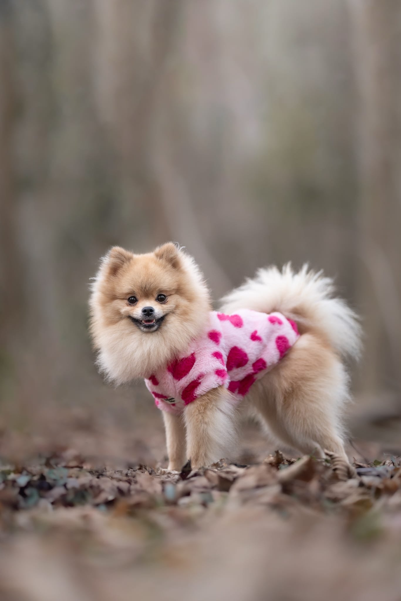 The Love Hearts Fluffy & Fabulous Fleece - Pink
