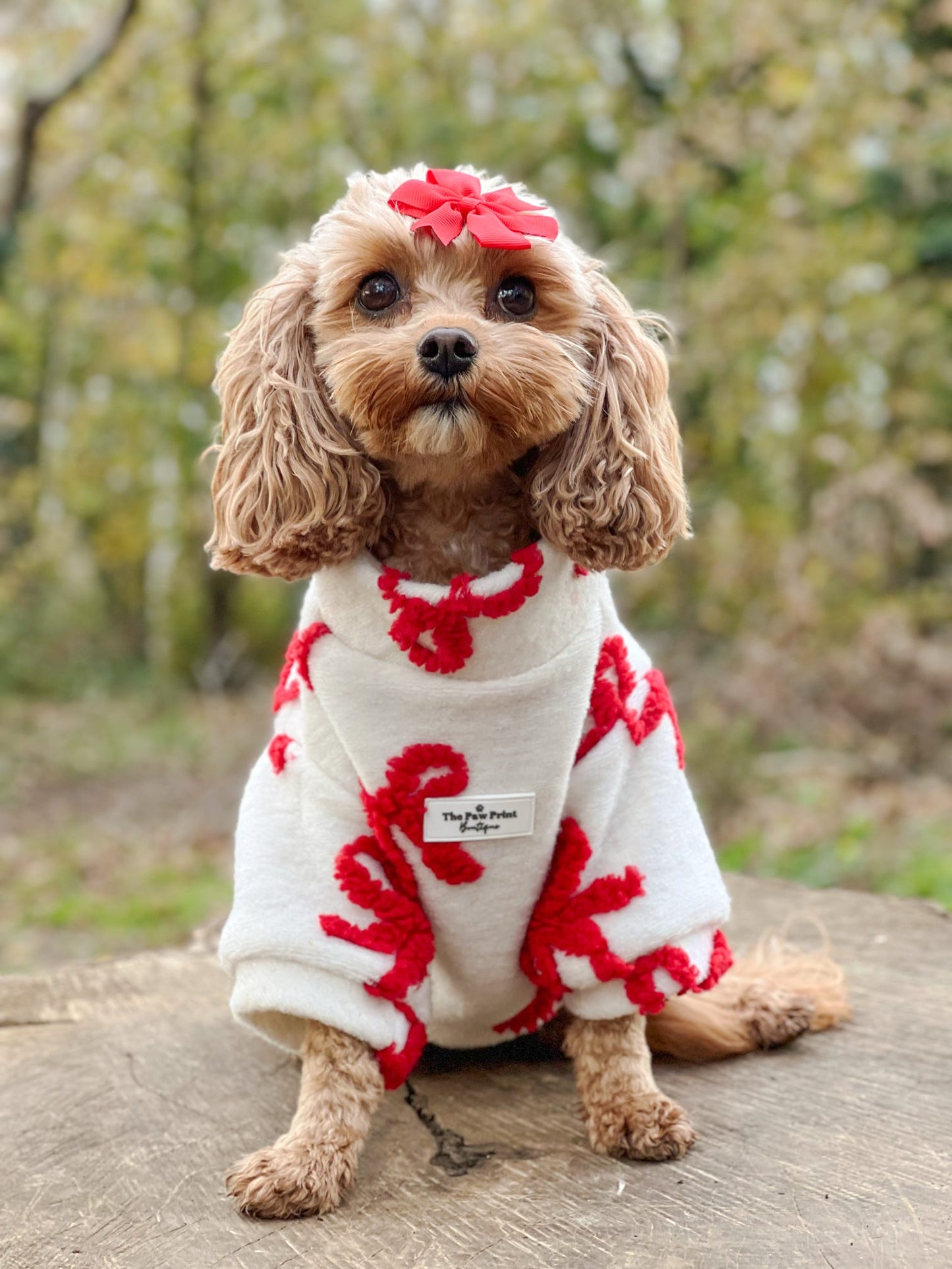 The Red Bow Fleece