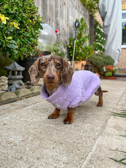 Teddy Fleece - Lilac
