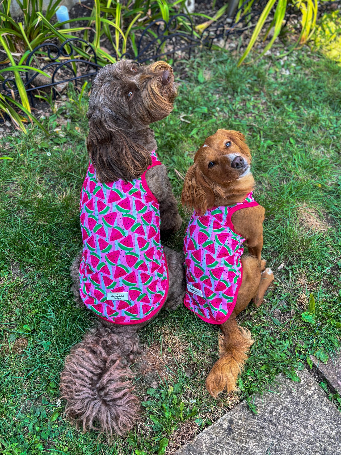Watermelon Sugar Cooling Vest