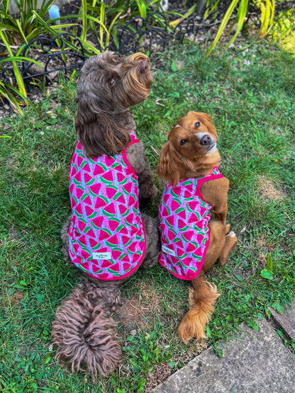 Watermelon Sugar Cooling Vest