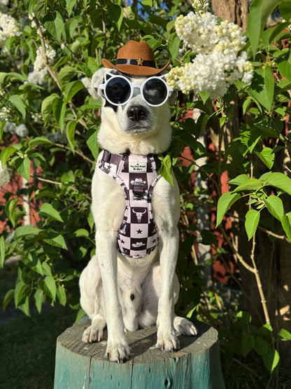 The Wild West Adventure Paws Harness