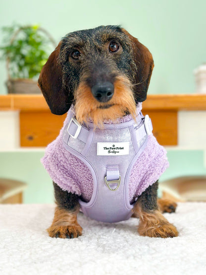 The Lavish Lilac Adventure Paws Harness