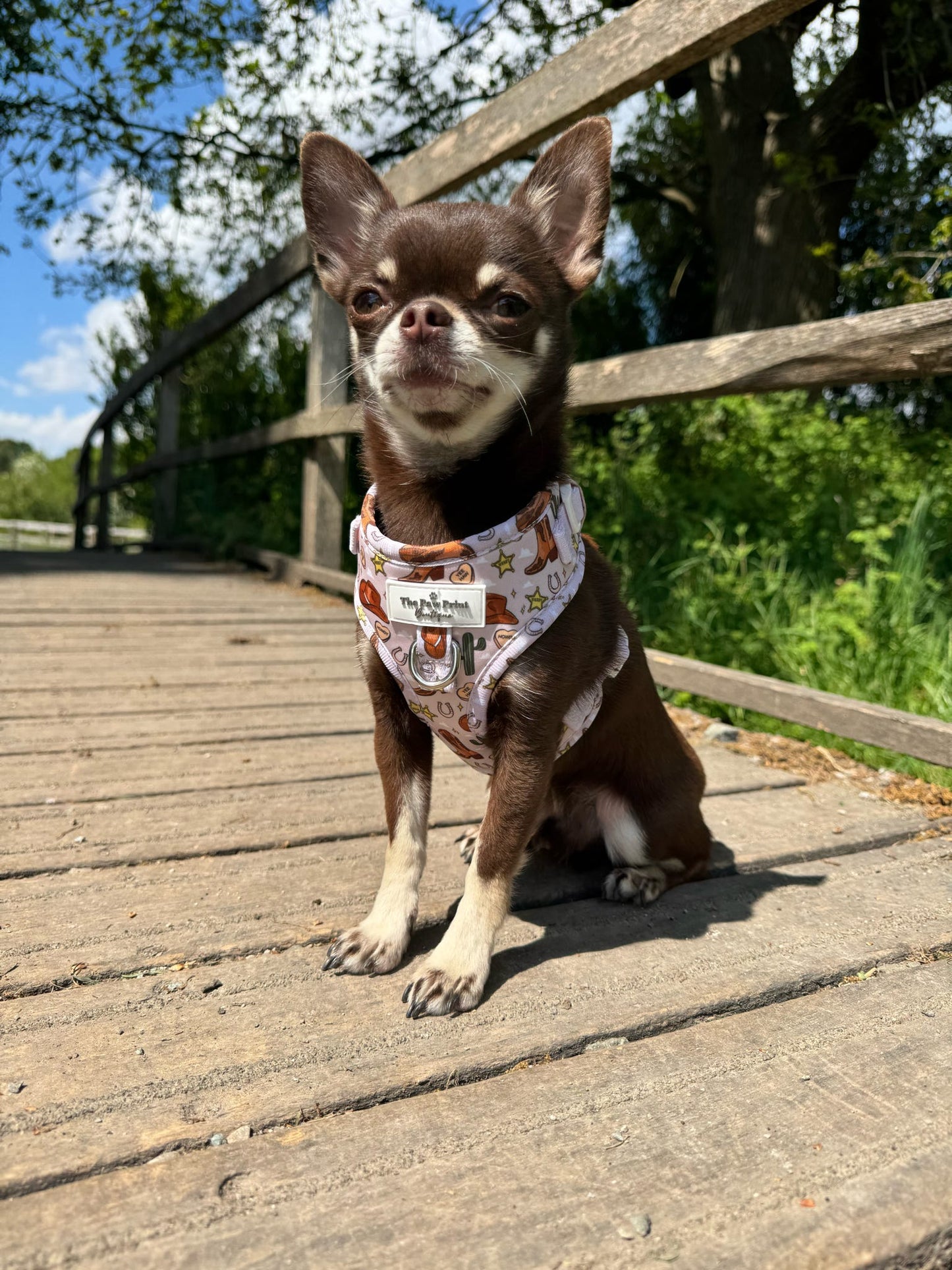 Howdy Pawtner Adjustable Harness