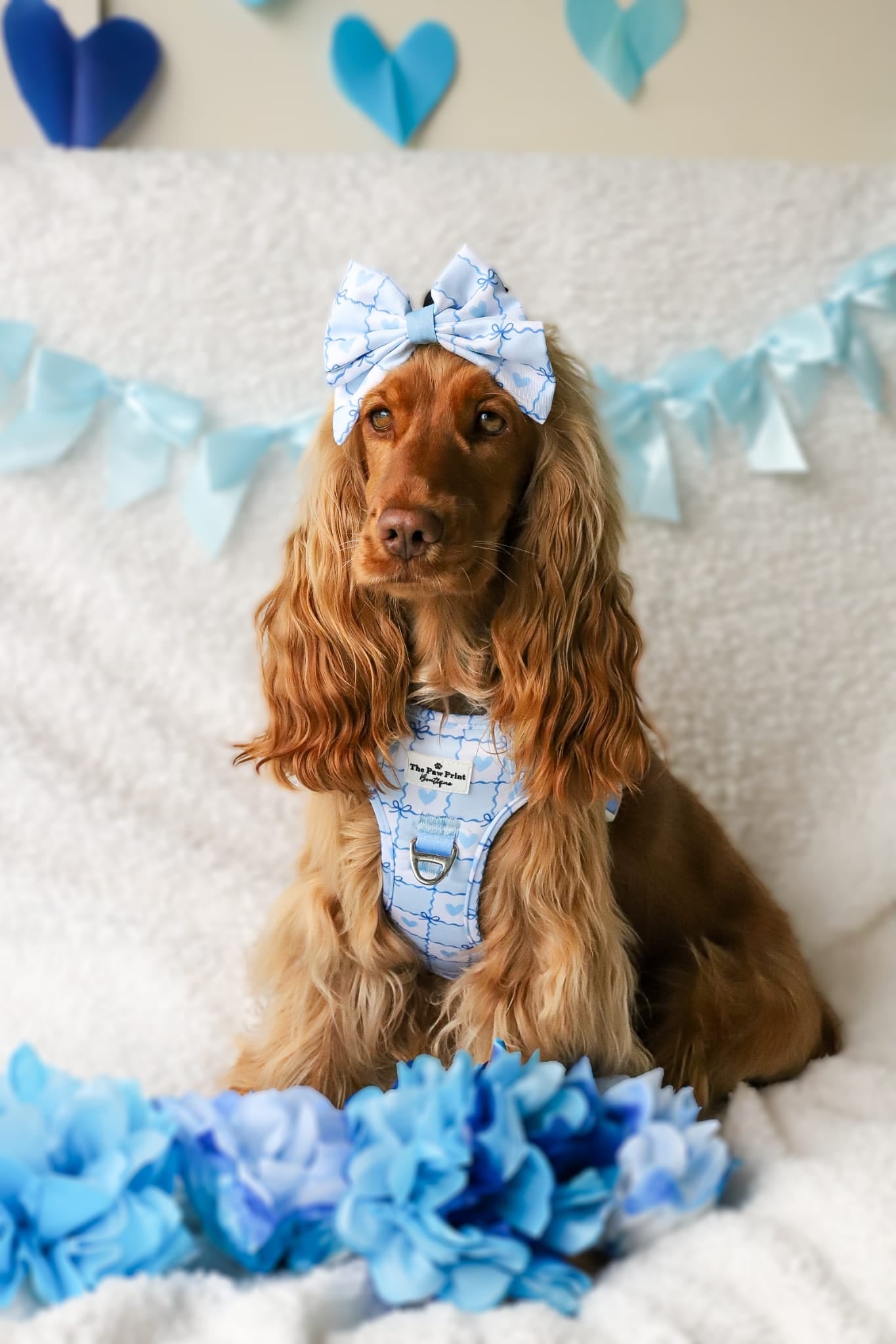 Blue Chequered Hearts Adventure Paws Harness