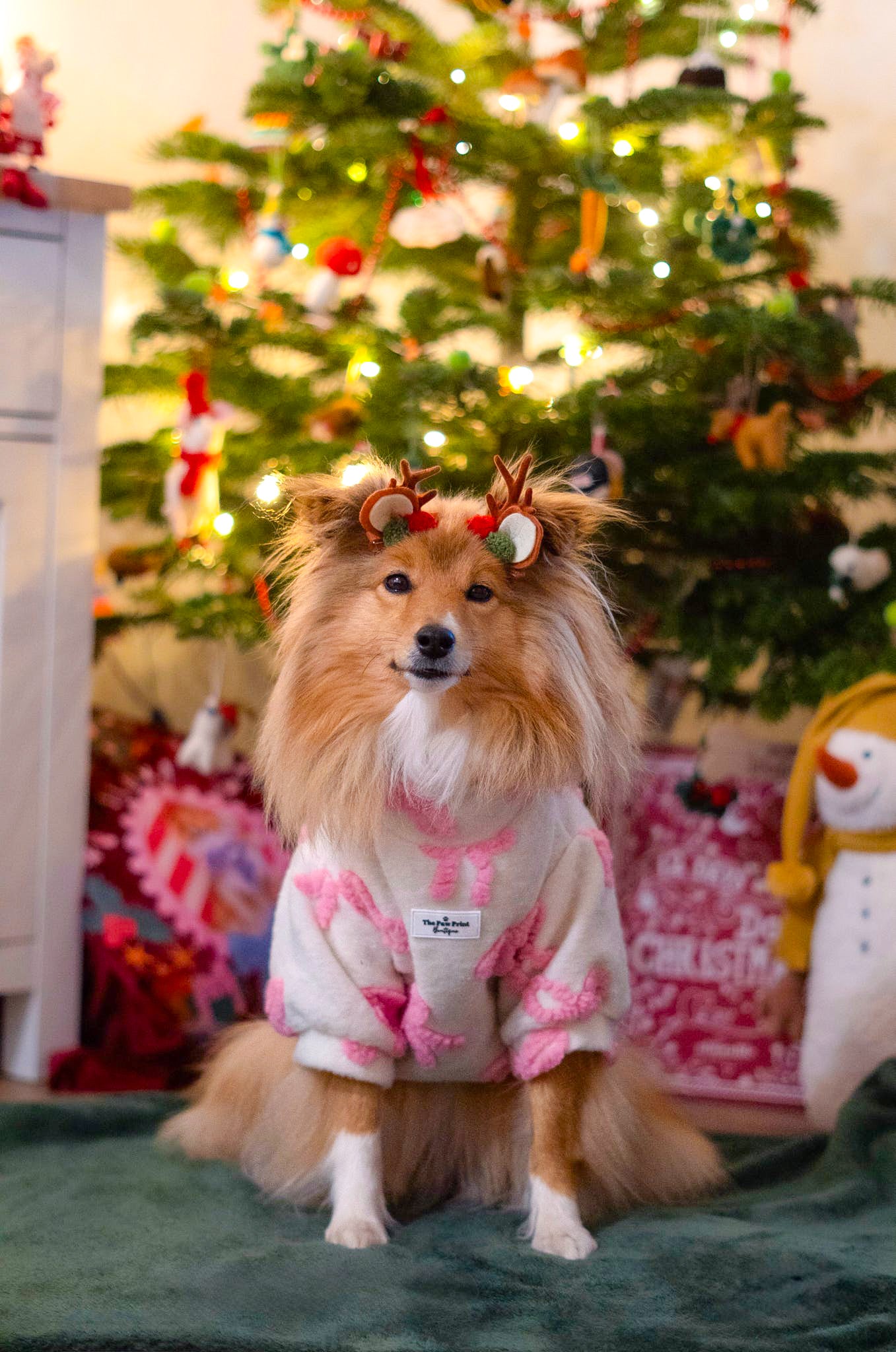 The Pink Bow Fleece