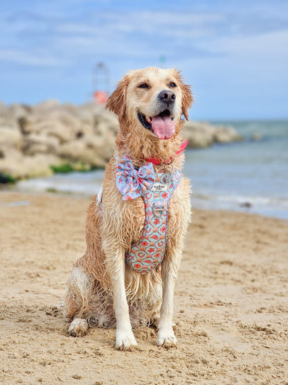She sells Seashells by the YEEHAW Adventure Paws Harness