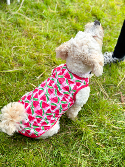 Watermelon Sugar Cooling Vest