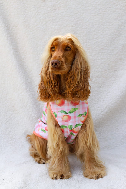 Peach Gingham Cooling Vest