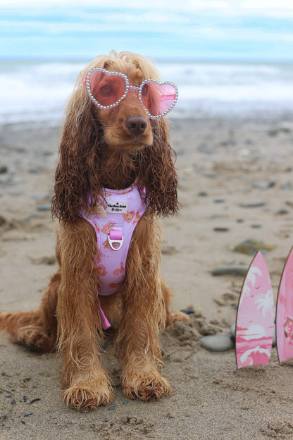 Miami Palms Adventure Paws Harness