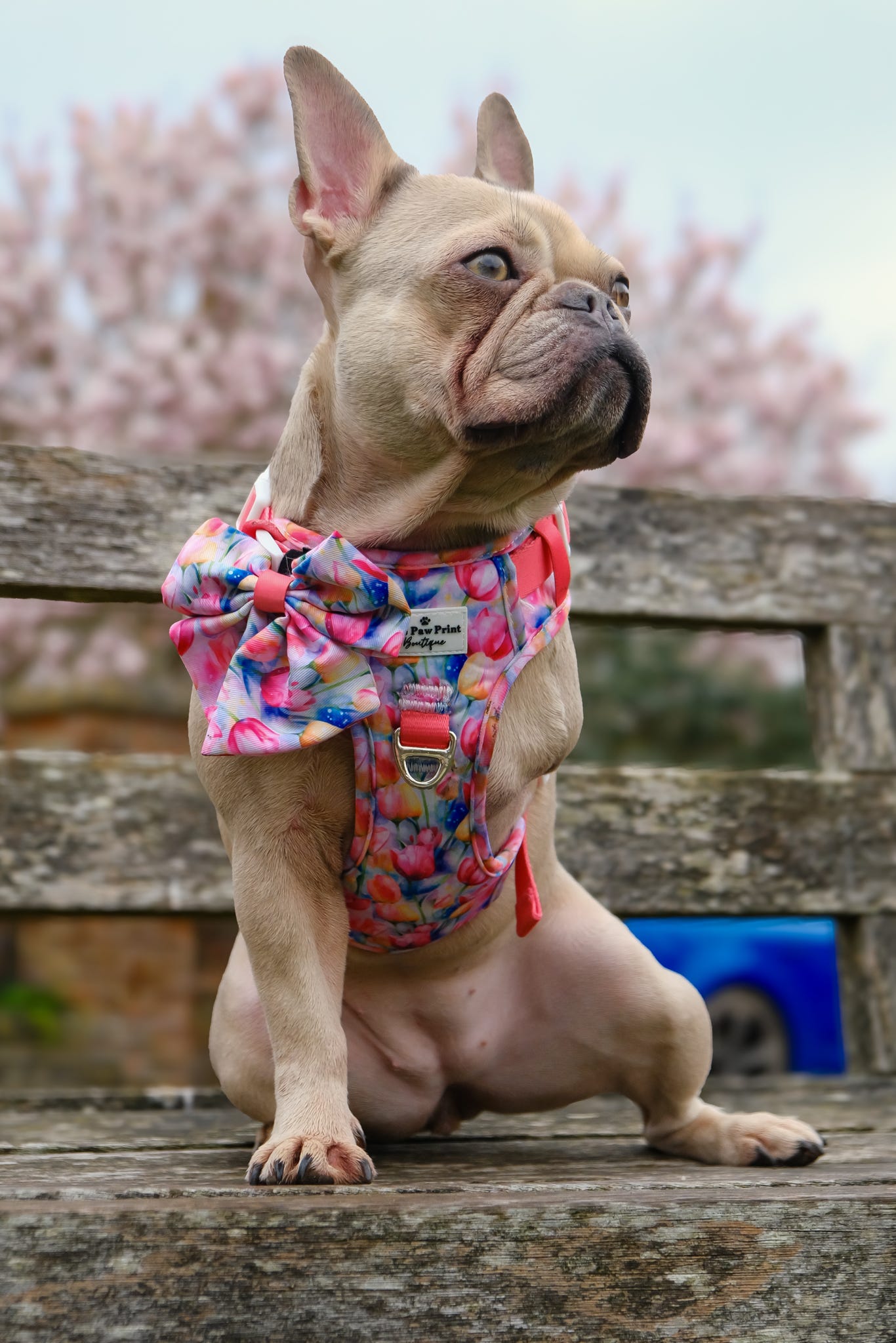 The Tulip Field Bow Tie