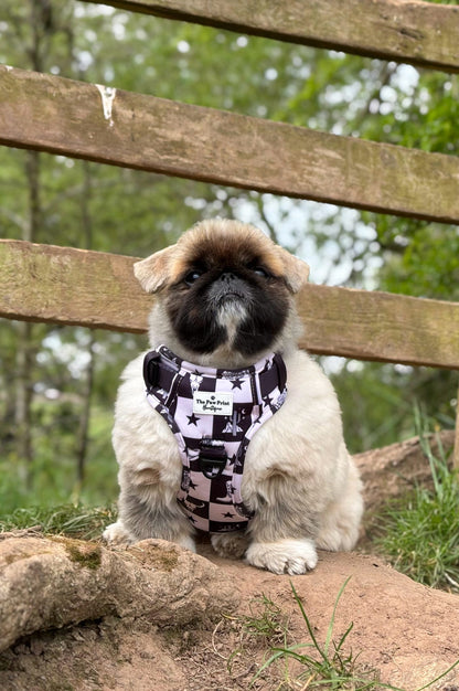 The Wild West Adventure Paws Harness