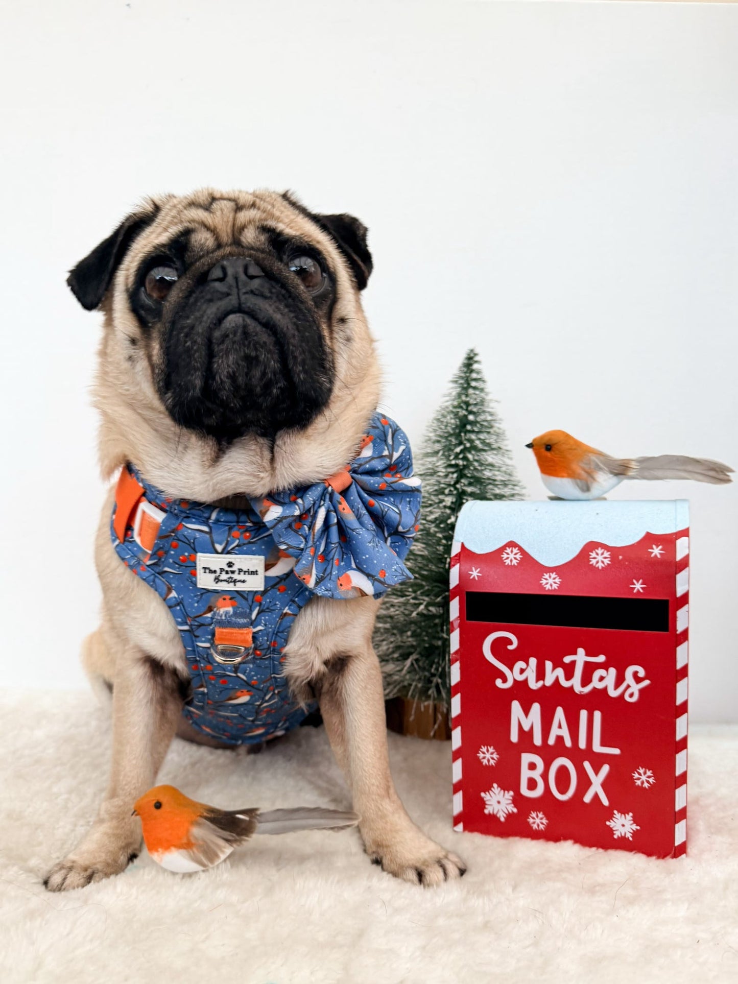 Seasons Tweetings Bow Tie