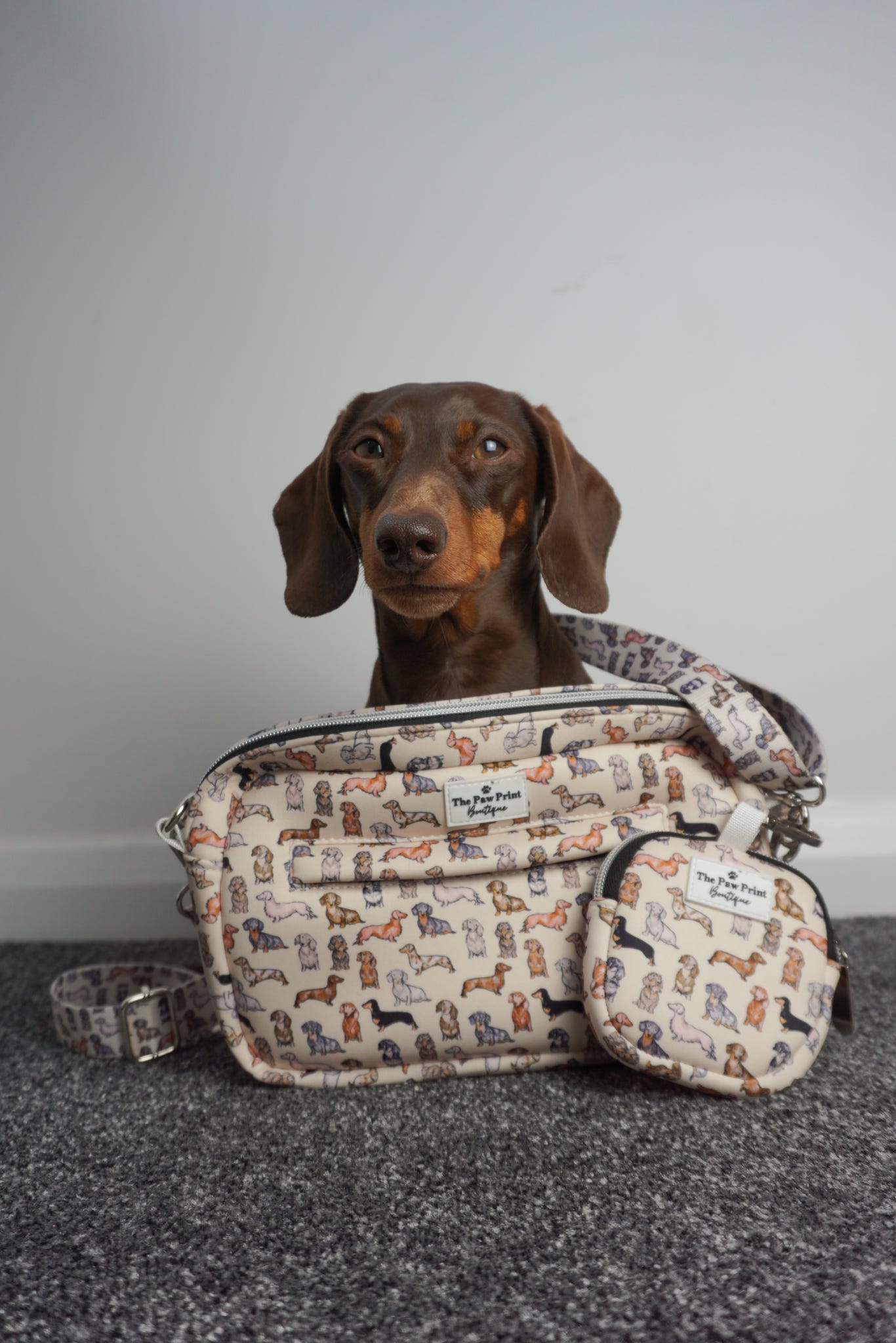 The Dachshund Dog Walking Bag