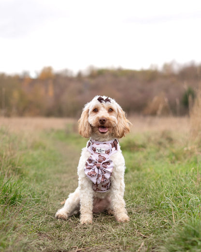The Little Bear Cub Bow Tie