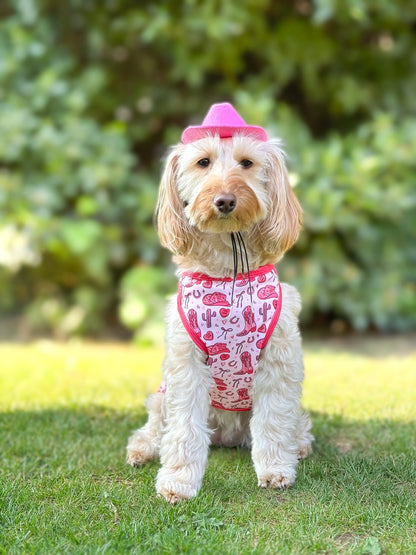 Giddy up Pup Cooling Vest