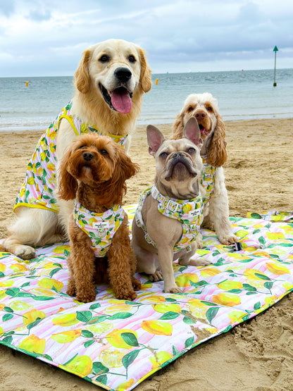 La Dolce Vita Picnic Mat