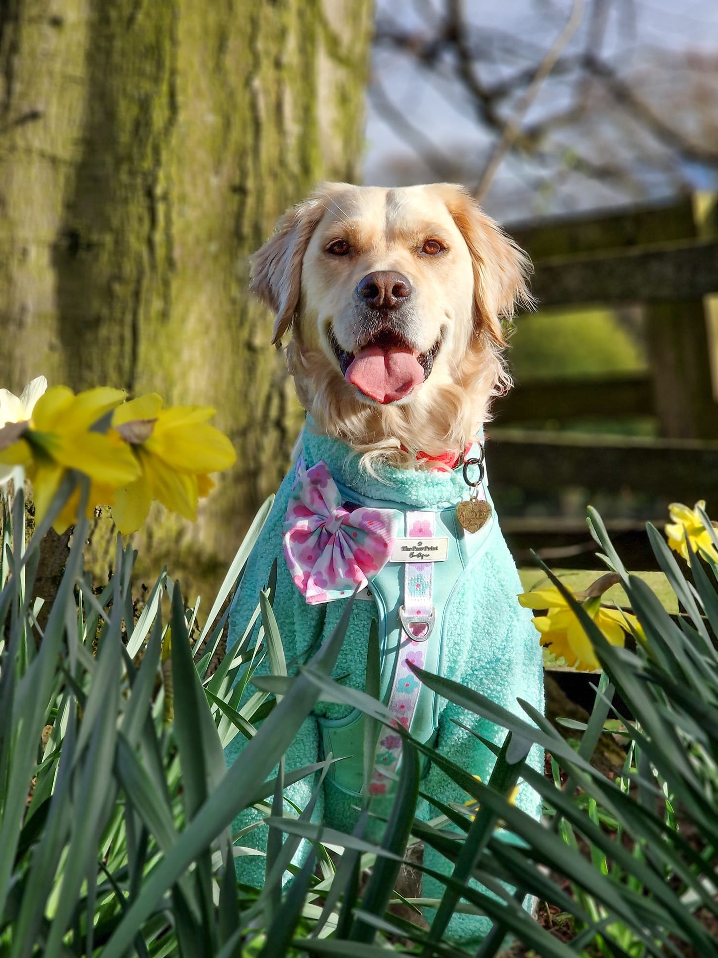 Teddy Fleece - Mint
