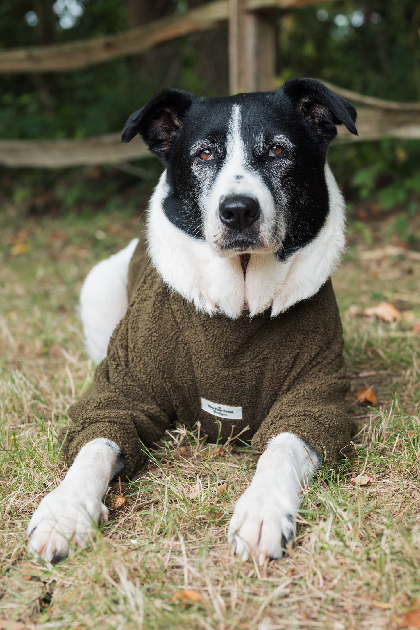 Teddy Fleece - Khaki