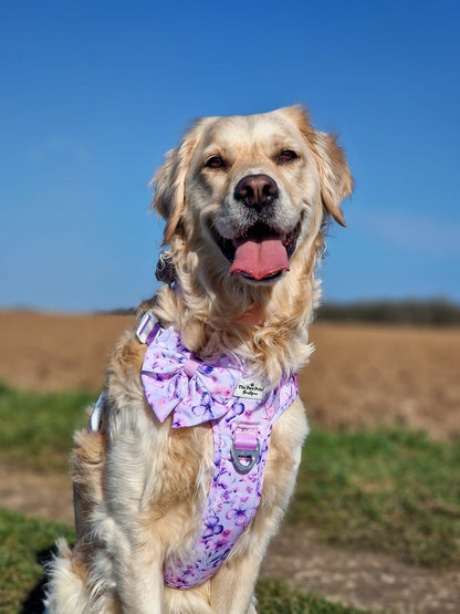 Butterfly Bliss Bow Tie