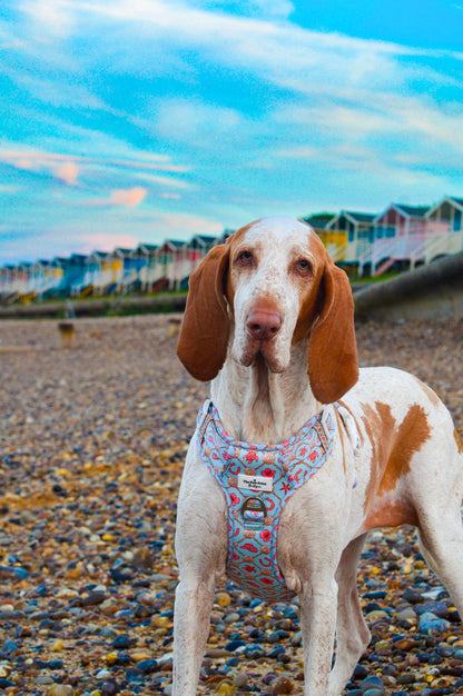 She sells Seashells by the YEEHAW Adventure Paws Harness