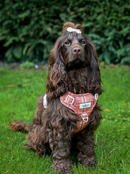 Pooches in Plaid Adventure Paws Harness