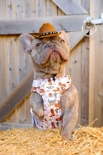 Howdy Pawtner Adventure Paws Harness