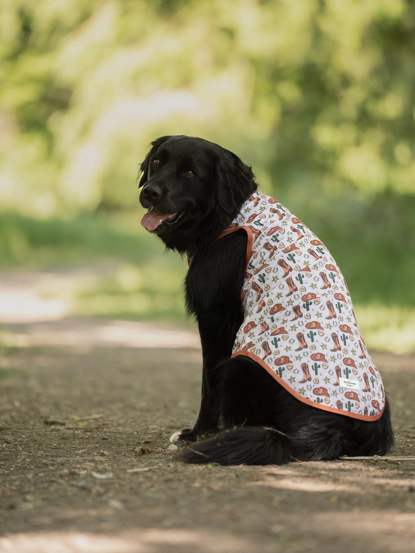 The Howdy Pawtner Cooling Vest