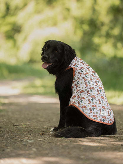 The Howdy Pawtner Cooling Vest