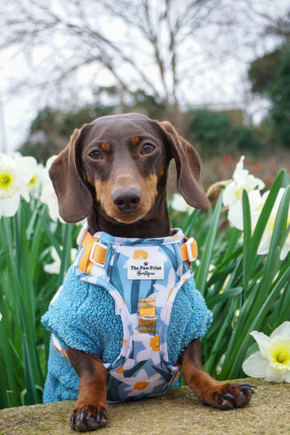 Daffodil Daze Adventure Paws Harness