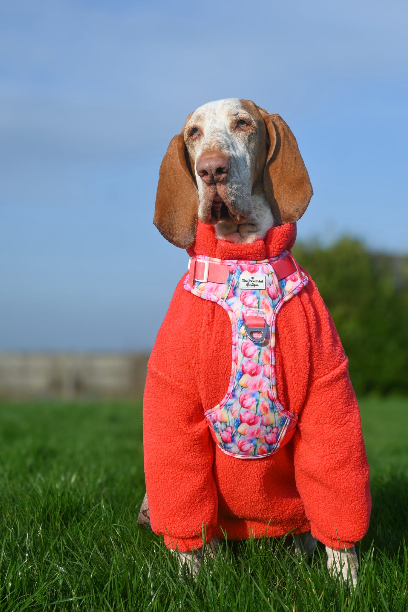 Teddy Fleece - Watermelon