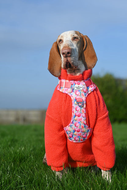 Teddy Fleece - Watermelon