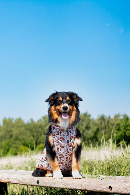 The Howdy Pawtner Cooling Vest